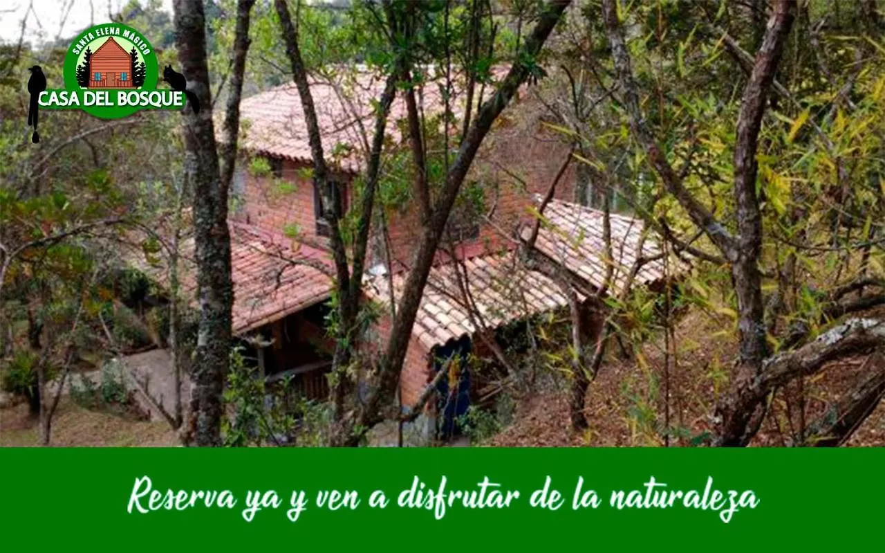 Casa Del Bosque 호텔 메딜린 0*,  콜롬비아