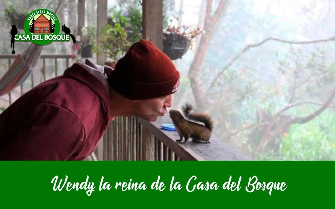 Casa Del Bosque 호텔 메딜린 게스트하우스