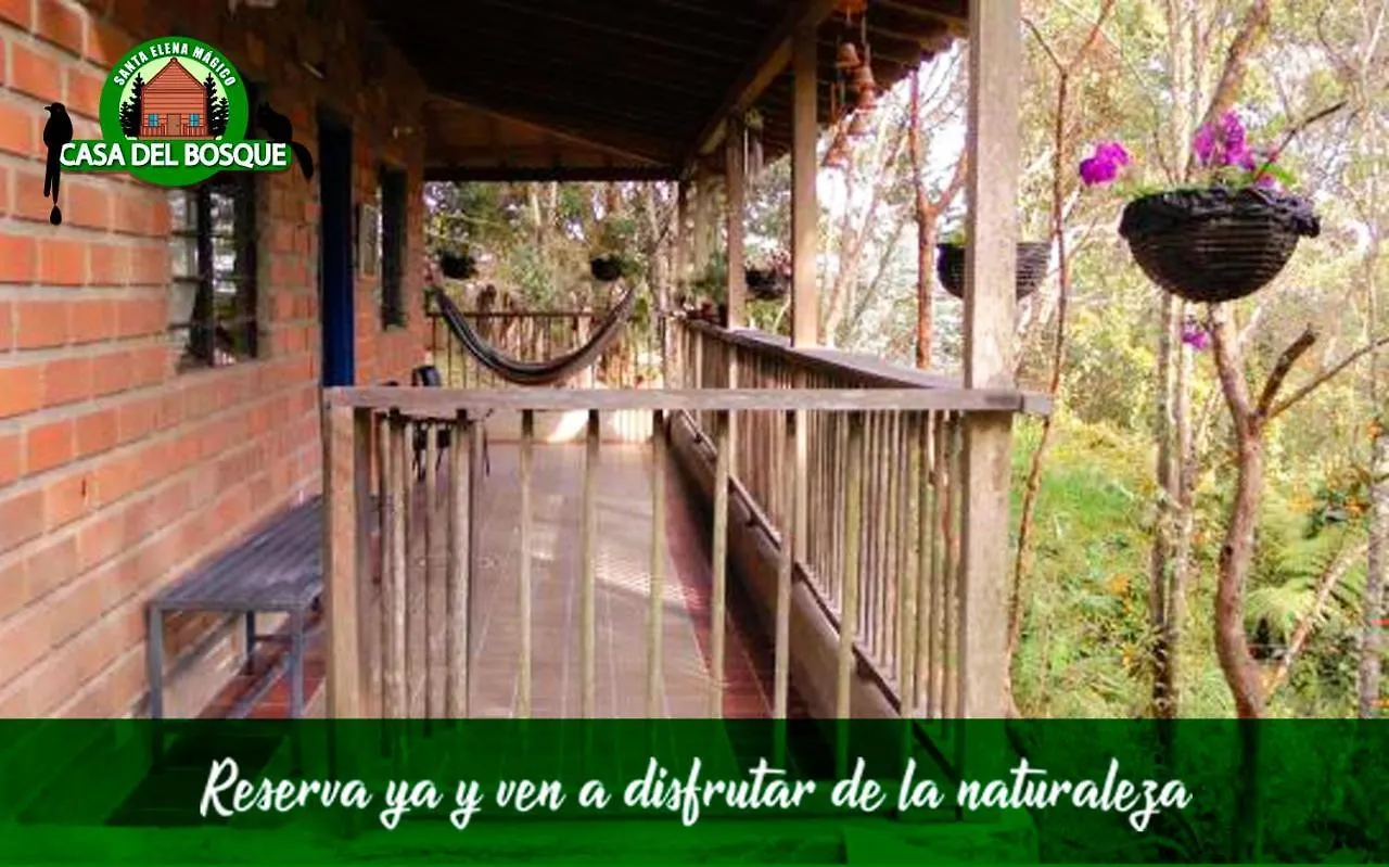 게스트하우스 Casa Del Bosque 호텔 메딜린 콜롬비아