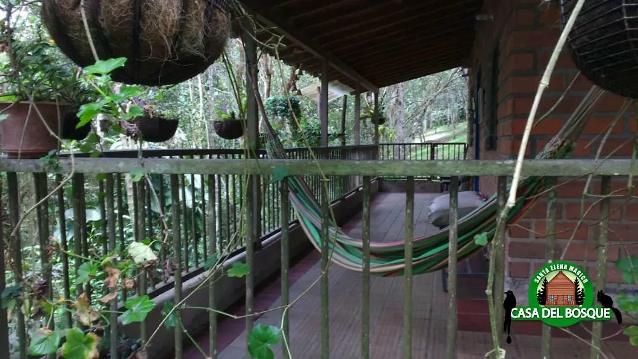 Casa Del Bosque 호텔 메딜린 0*,