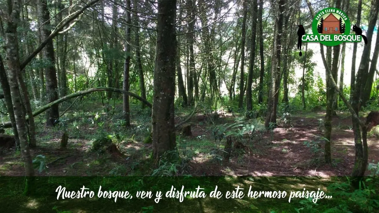 Casa Del Bosque 호텔 메딜린 게스트하우스