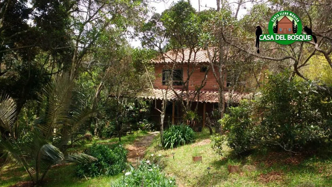 Casa Del Bosque 호텔 메딜린