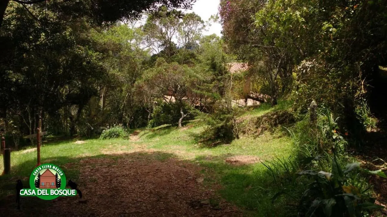Casa Del Bosque 호텔 메딜린